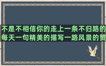 不是不相信你的走上一条不归路的每天一句精美的描写一路风景的赞美梅花的句子短一点(功夫 不是不相信你)